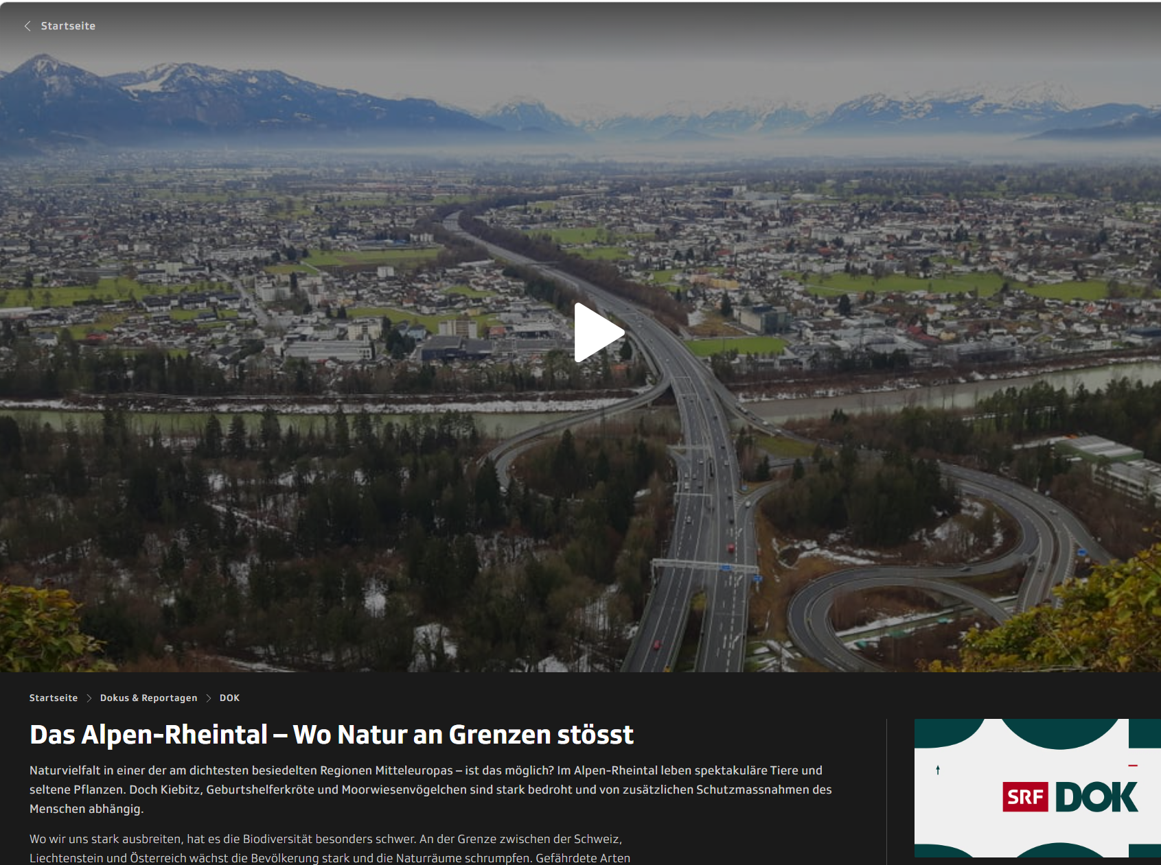 Das Alpen-Rheintal – Wo Natur an Grenzen stösst